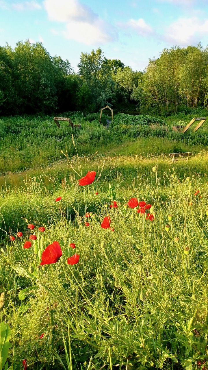 Fwd: Centenary Riverside by Mark Winter			
					</div><!-- .entry-content -->
		
		<footer>
		
		
		
					
					</footer><!-- .entry-meta -->
	</article><!-- #post -->
				
											
				
		
<hr class=