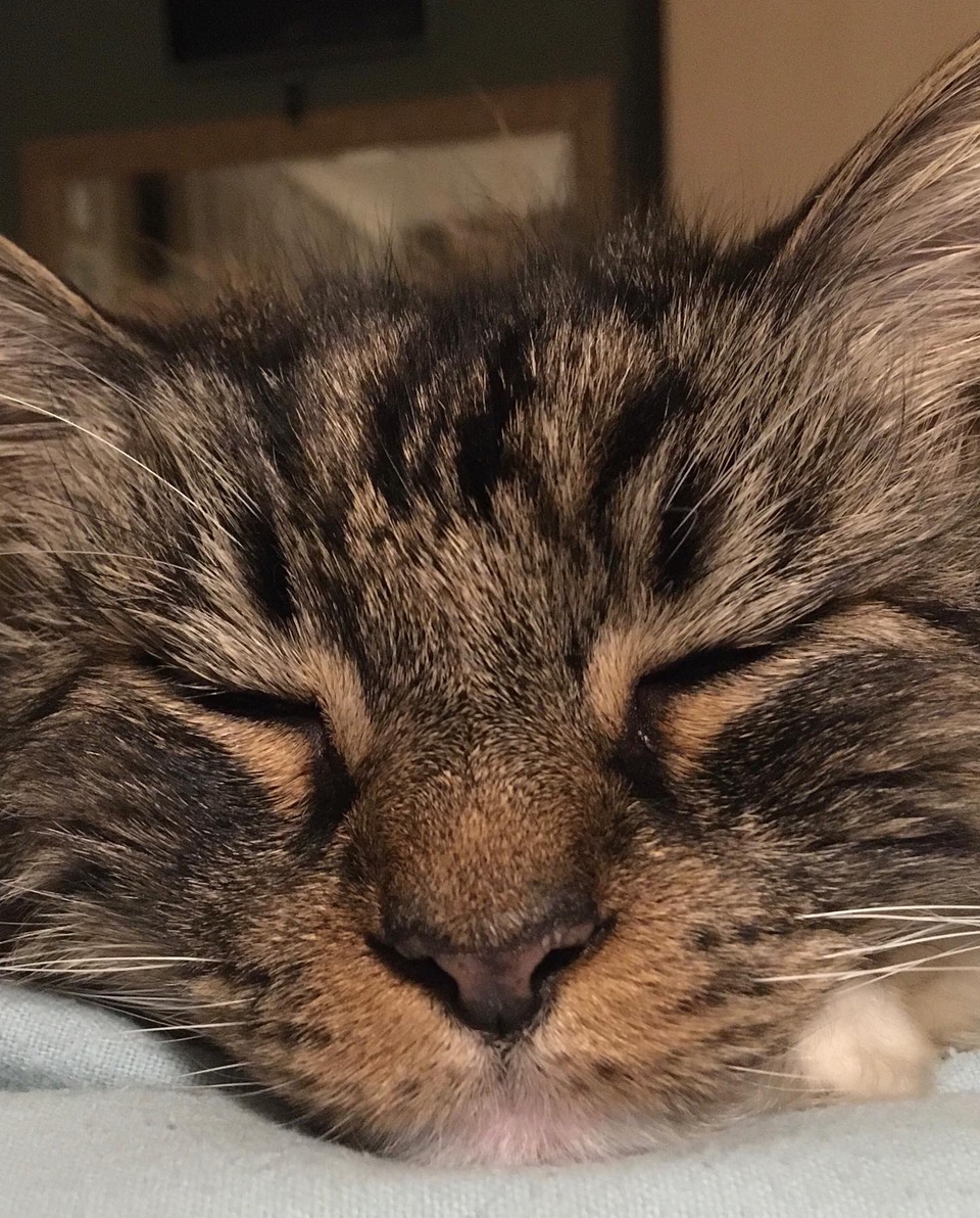 Fwd: Jerry			
					</div><!-- .entry-content -->
		
		<footer>
		
		
		
					
					</footer><!-- .entry-meta -->
	</article><!-- #post -->
				
											
				
		
<hr class=