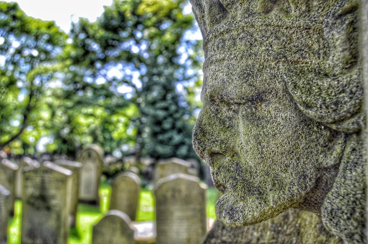 Fwd: Bolsterstone Cemetery			
					</div><!-- .entry-content -->
		
		<footer>
		
		
		
					
					</footer><!-- .entry-meta -->
	</article><!-- #post -->
				
											
				
		
<hr class=