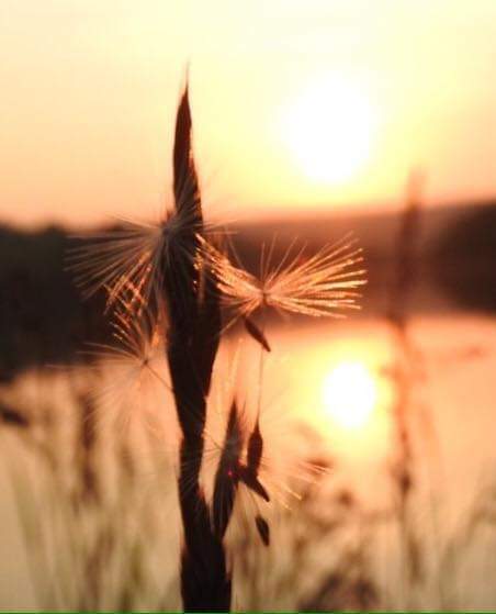 Fwd: Photos of Sheffield by Brian Hodkinson			
					</div><!-- .entry-content -->
		
		<footer>
		
		
		
					
					</footer><!-- .entry-meta -->
	</article><!-- #post -->
				
											
				
		
<hr class=