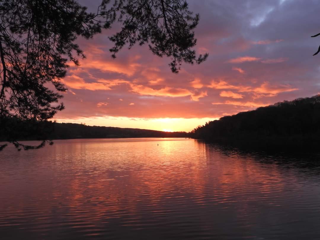 Fwd: Photos of Sheffield by Brian Hodkinson			
					</div><!-- .entry-content -->
		
		<footer>
		
		
		
					
					</footer><!-- .entry-meta -->
	</article><!-- #post -->
				
											
				
		
<hr class=