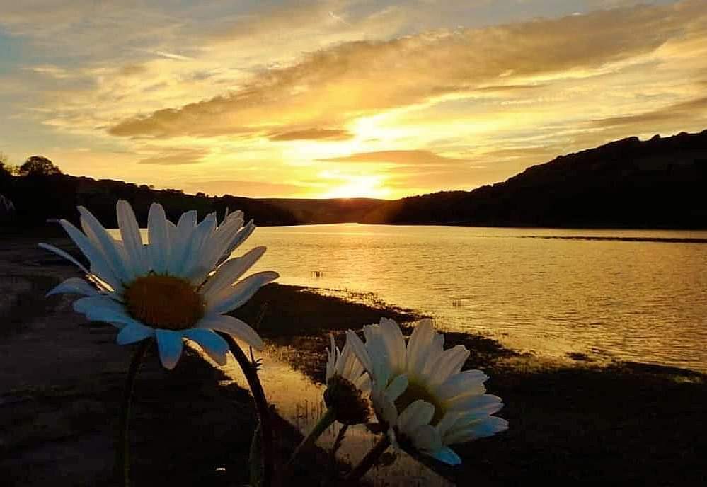 Fwd: Photos of Sheffield by Brian Hodkinson			
					</div><!-- .entry-content -->
		
		<footer>
		
		
		
					
					</footer><!-- .entry-meta -->
	</article><!-- #post -->
				
											
				
		
<hr class=