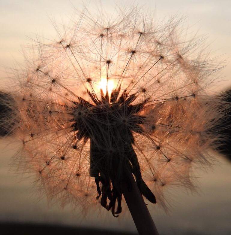 Fwd: Photos of Sheffield by Brian Hodkinson			
					</div><!-- .entry-content -->
		
		<footer>
		
		
		
					
					</footer><!-- .entry-meta -->
	</article><!-- #post -->
				
											
				
		
<hr class=