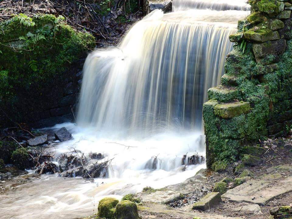 Fwd: Photos of Sheffield by Brian Hodkinson			
					</div><!-- .entry-content -->
		
		<footer>
		
		
		
					
					</footer><!-- .entry-meta -->
	</article><!-- #post -->
				
											
				
		
<hr class=