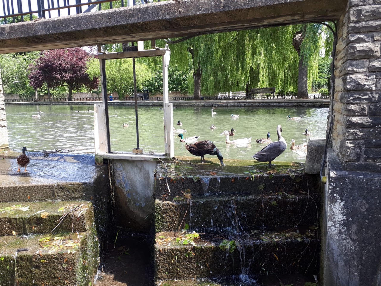 Fwd: Mary.Tickhill Pond			
					</div><!-- .entry-content -->
		
		<footer>
		
		
		
					
					</footer><!-- .entry-meta -->
	</article><!-- #post -->
				
											
				
		
<hr class=