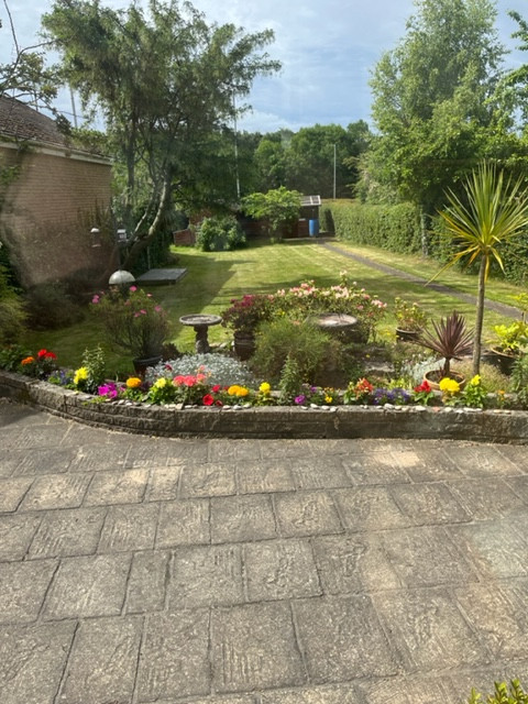 Fwd: Our garden			
					</div><!-- .entry-content -->
		
		<footer>
		
		
		
					
					</footer><!-- .entry-meta -->
	</article><!-- #post -->
				
											
				
		
<hr class=