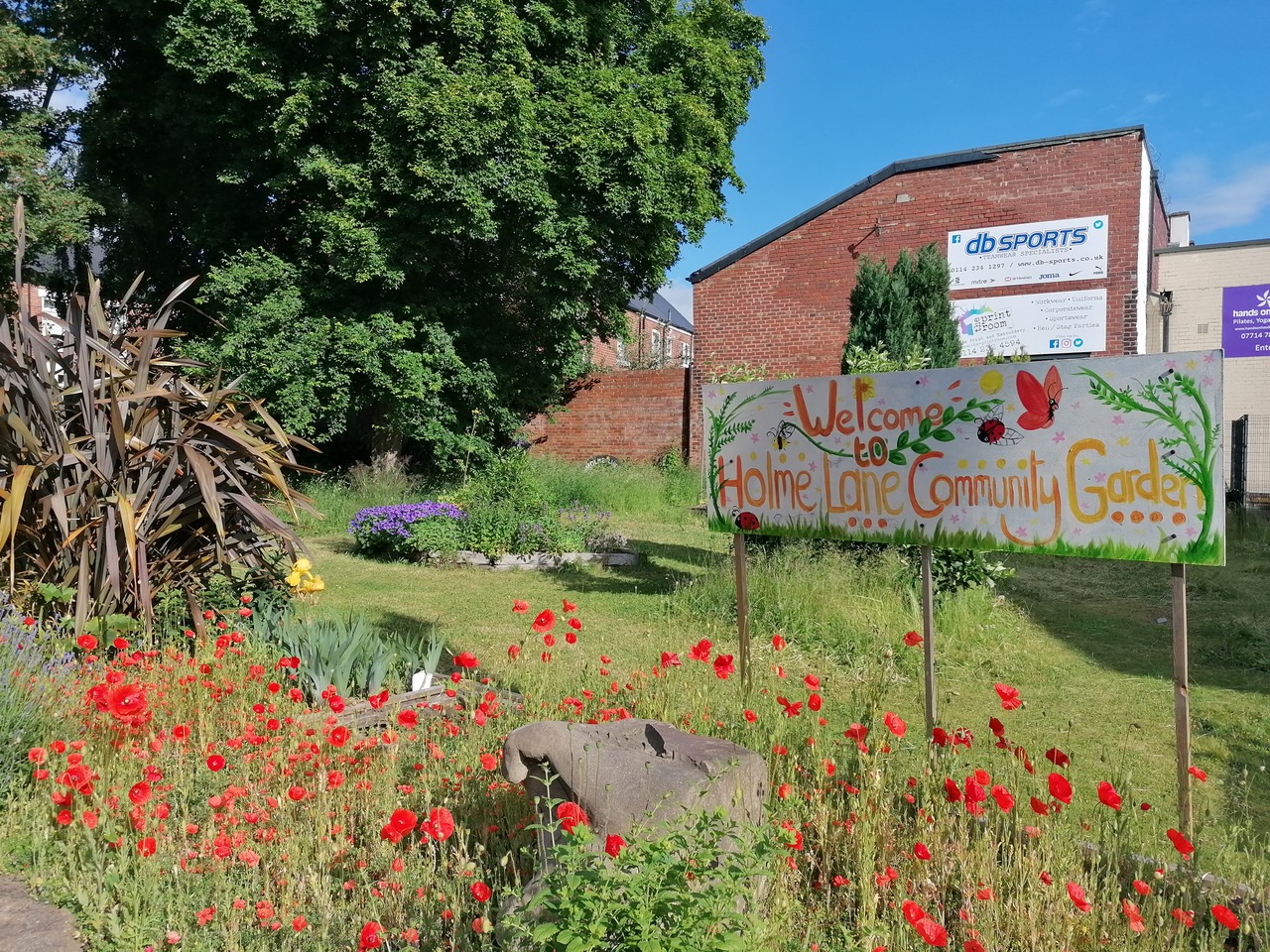 Fwd: Holme Lane Community Garden by Vee Jay			
					</div><!-- .entry-content -->
		
		<footer>
		
		
		
					
					</footer><!-- .entry-meta -->
	</article><!-- #post -->
				
											
				
		
<hr class=