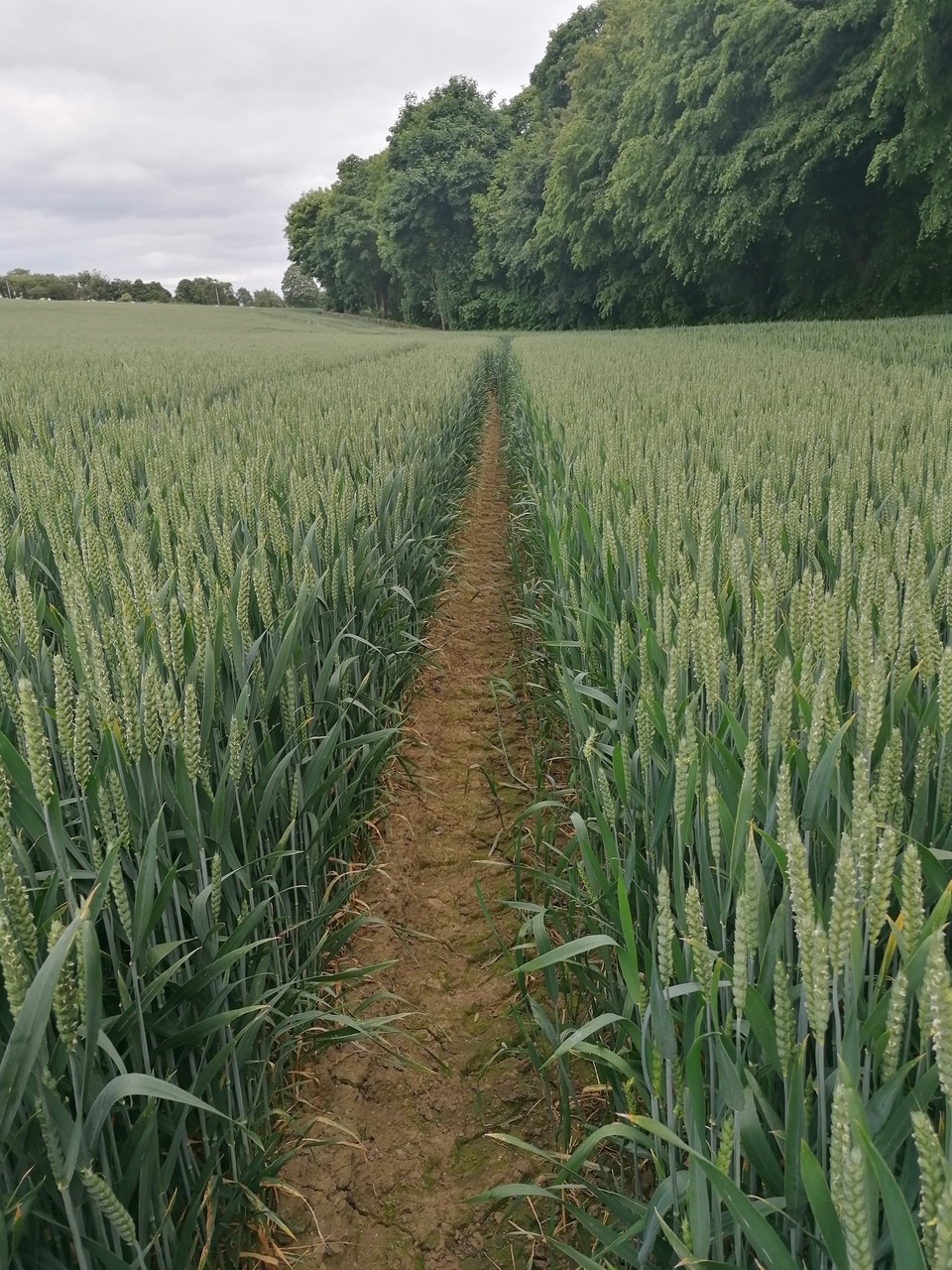 Fwd: Loxley Fields by Vee Jay			
					</div><!-- .entry-content -->
		
		<footer>
		
		
		
					
					</footer><!-- .entry-meta -->
	</article><!-- #post -->
				
											
				
		
<hr class=