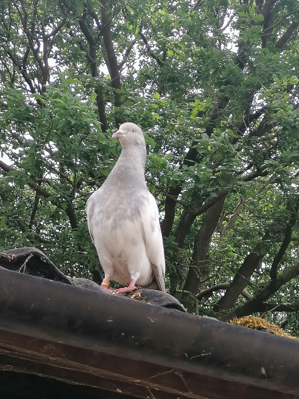 Fwd: New resident by Vee Jay			
					</div><!-- .entry-content -->
		
		<footer>
		
		
		
					
					</footer><!-- .entry-meta -->
	</article><!-- #post -->
				
											
				
		
<hr class=