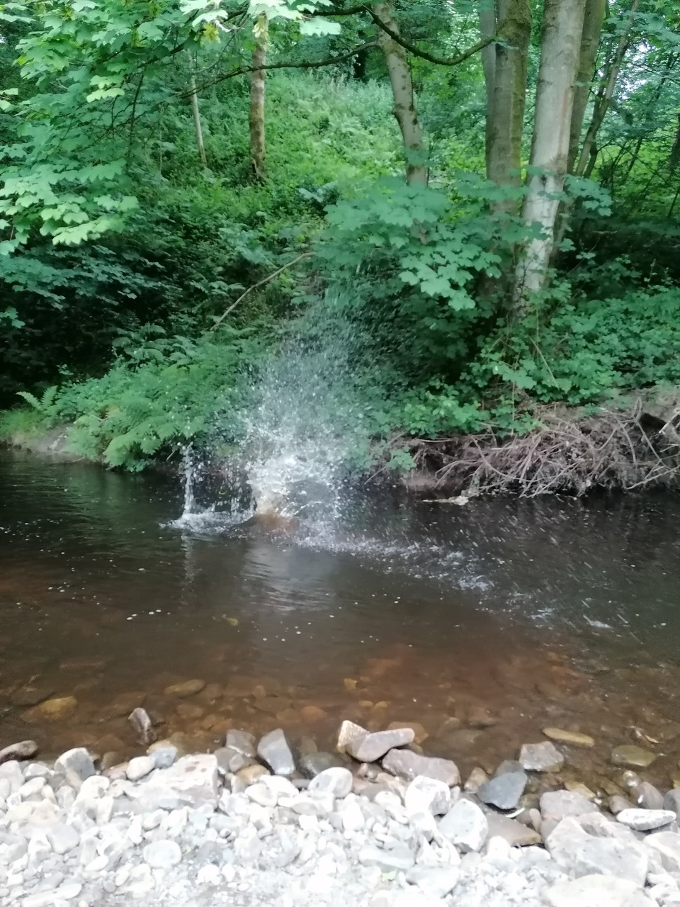 Fwd: Loxley Valley by Vee Jay			
					</div><!-- .entry-content -->
		
		<footer>
		
		
		
					
					</footer><!-- .entry-meta -->
	</article><!-- #post -->
				
											
				
		
<hr class=