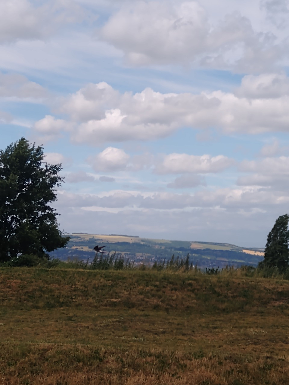 Fwd:			
					</div><!-- .entry-content -->
		
		<footer>
		
		
		
					
					</footer><!-- .entry-meta -->
	</article><!-- #post -->
				
											
				
		
<hr class=