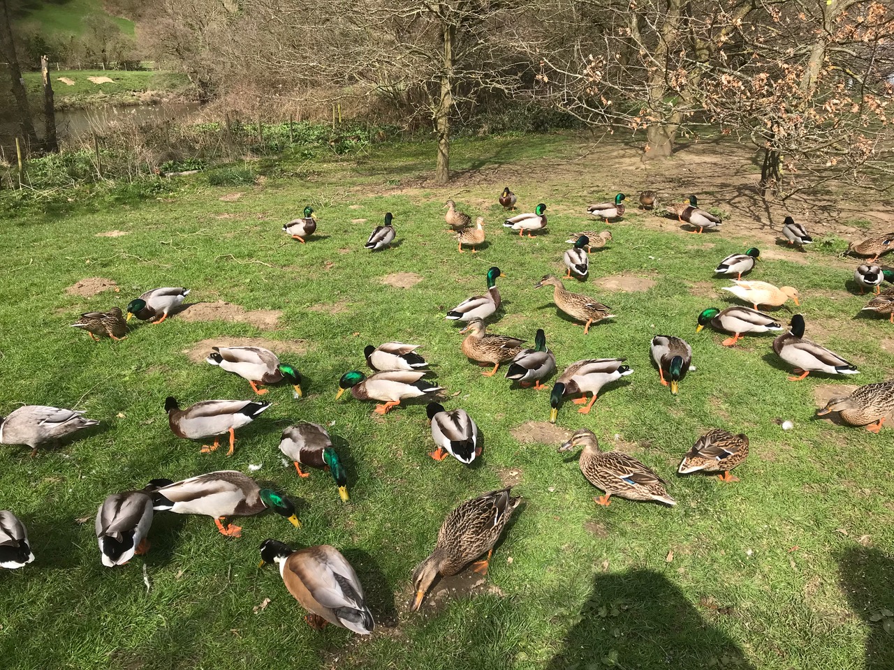 Fwd: Yea			
					</div><!-- .entry-content -->
		
		<footer>
		
		
		
					
					</footer><!-- .entry-meta -->
	</article><!-- #post -->
				
											
				
		
<hr class=