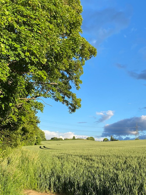 Fwd: Farmers Field Treeton by Val Unwin			
					</div><!-- .entry-content -->
		
		<footer>
		
		
		
					
					</footer><!-- .entry-meta -->
	</article><!-- #post -->
				
											
				
		
<hr class=