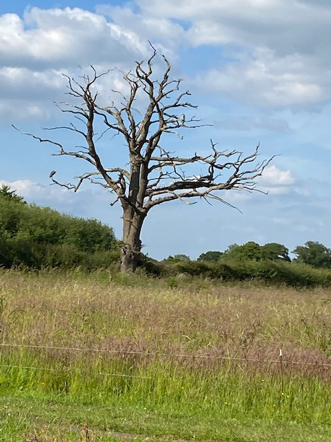 Fwd: Still Beautiful by Val Unwin			
					</div><!-- .entry-content -->
		
		<footer>
		
		
		
					
					</footer><!-- .entry-meta -->
	</article><!-- #post -->
				
											
				
		
<hr class=