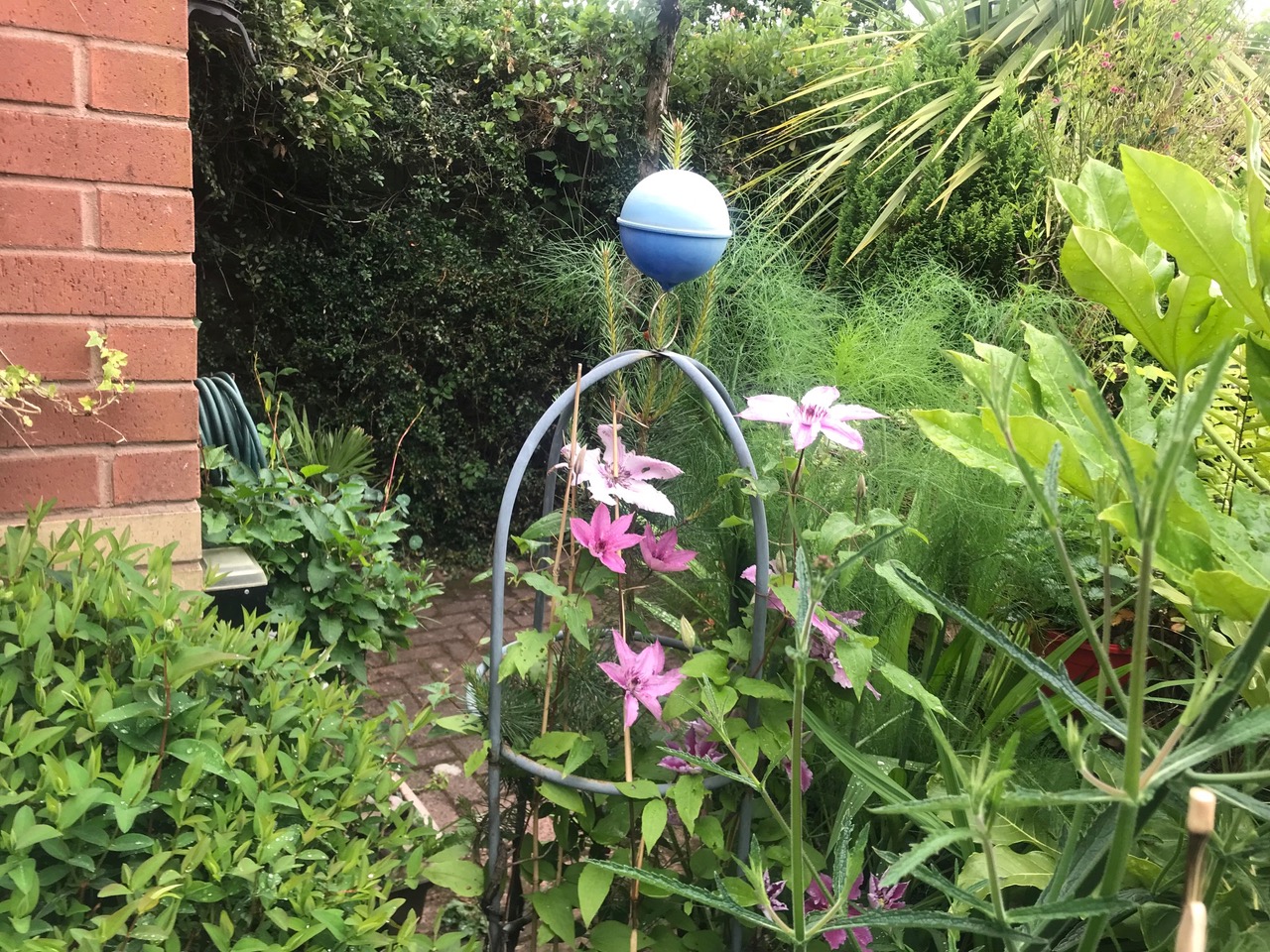 Fwd: Plumbers Clematis			
					</div><!-- .entry-content -->
		
		<footer>
		
		
		
					
					</footer><!-- .entry-meta -->
	</article><!-- #post -->
				
											
				
		
<hr class=