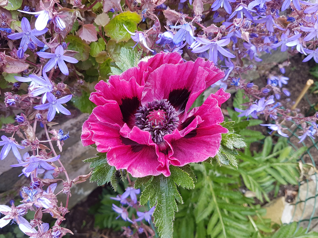 Fwd: Photo			
					</div><!-- .entry-content -->
		
		<footer>
		
		
		
					
					</footer><!-- .entry-meta -->
	</article><!-- #post -->
				
											
				
		
<hr class=