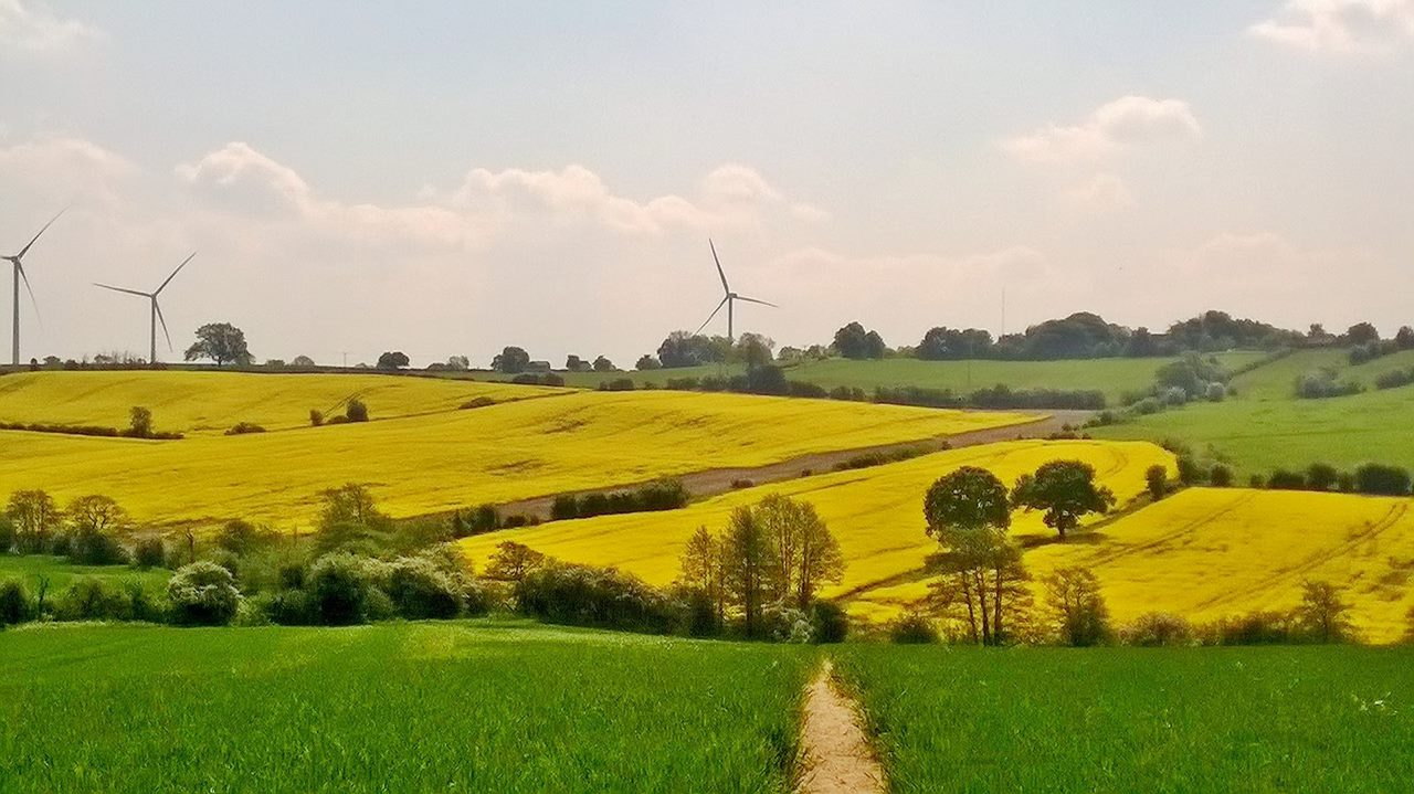 Fwd: Ulley by Mark Winter			
					</div><!-- .entry-content -->
		
		<footer>
		
		
		
					
					</footer><!-- .entry-meta -->
	</article><!-- #post -->
				
											
				
		
<hr class=