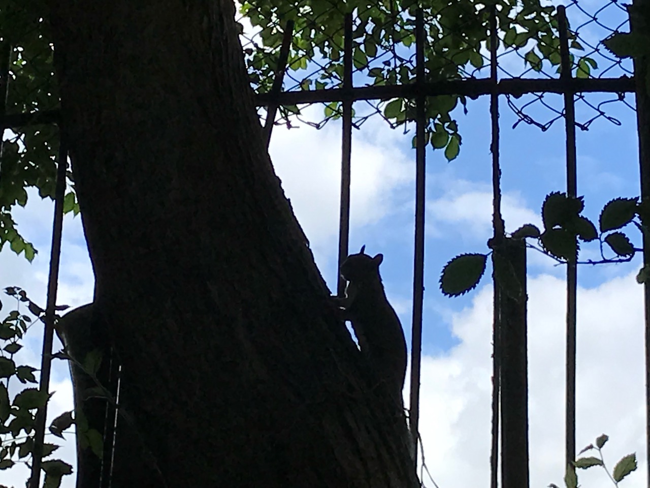 Fwd: Hillsborough park			
					</div><!-- .entry-content -->
		
		<footer>
		
		
		
					
					</footer><!-- .entry-meta -->
	</article><!-- #post -->
				
											
				
		
<hr class=