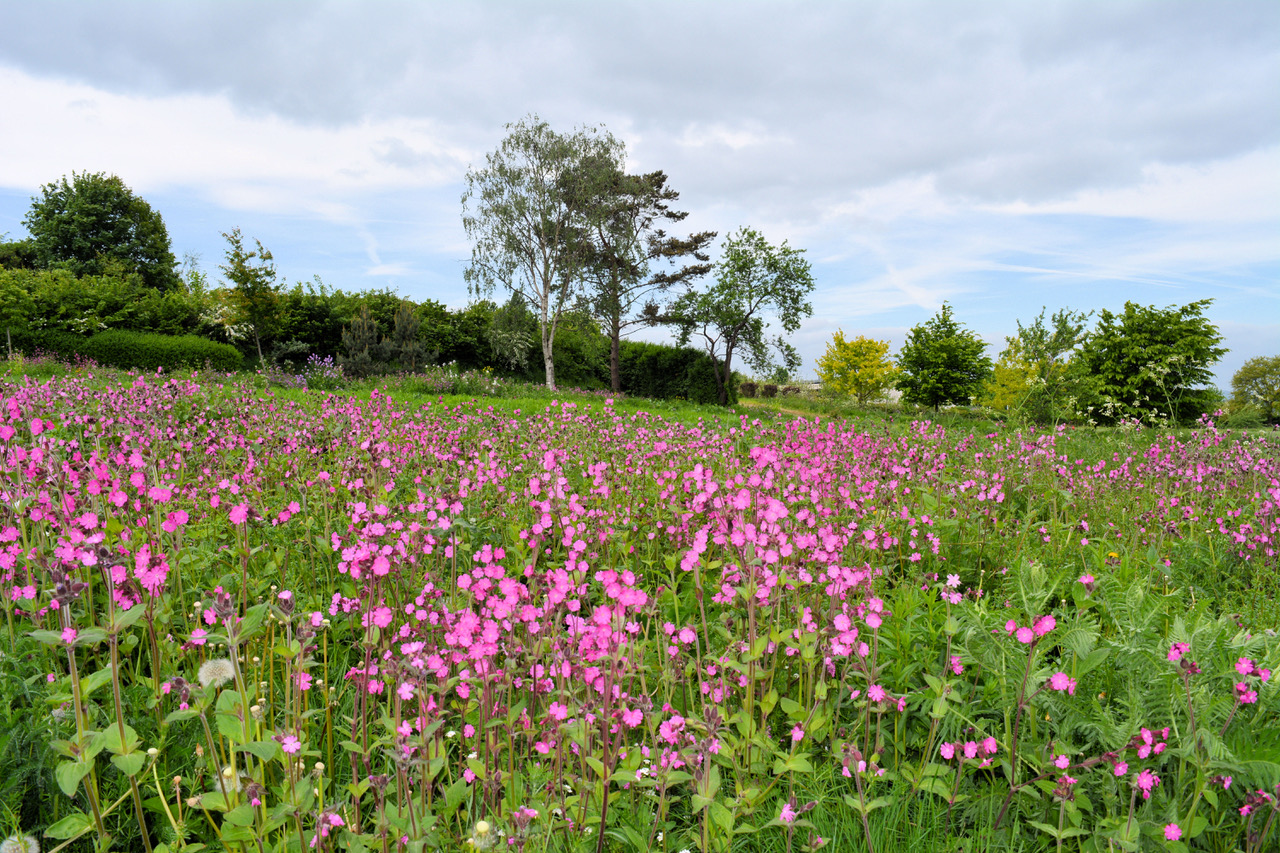 Fwd: Photo			
					</div><!-- .entry-content -->
		
		<footer>
		
		
		
					
					</footer><!-- .entry-meta -->
	</article><!-- #post -->
				
											
				
		
<hr class=