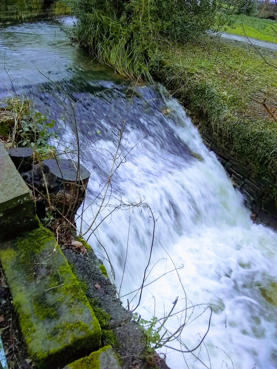 Fwd: Endcliffe park			
					</div><!-- .entry-content -->
		
		<footer>
		
		
		
					
					</footer><!-- .entry-meta -->
	</article><!-- #post -->
				
											
				
		
<hr class=