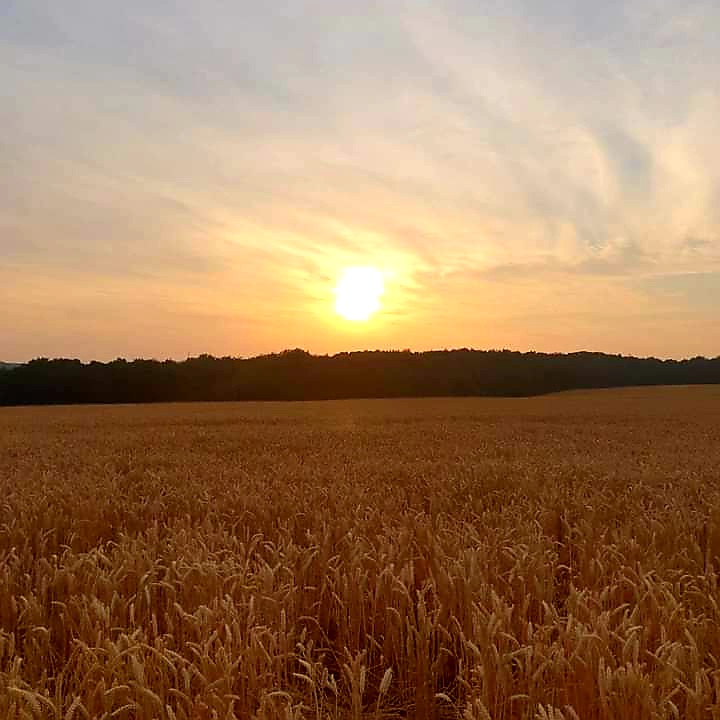 Fwd: By Simon Rudkin- Sunrise Kimberworth			
					</div><!-- .entry-content -->
		
		<footer>
		
		
		
					
					</footer><!-- .entry-meta -->
	</article><!-- #post -->
				
											
				
		
<hr class=