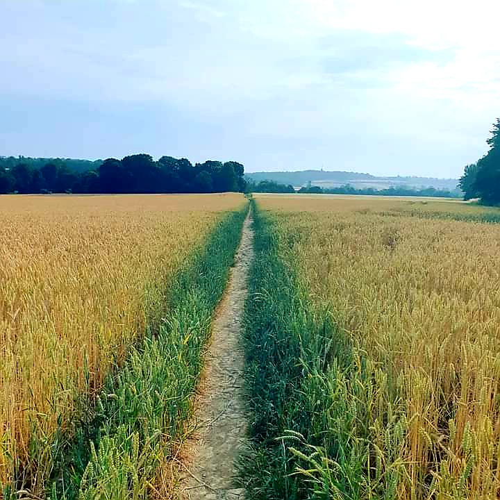 Fwd: By Simon Rudkin- Kimberworth			
					</div><!-- .entry-content -->
		
		<footer>
		
		
		
					
					</footer><!-- .entry-meta -->
	</article><!-- #post -->
				
											
				
		
<hr class=