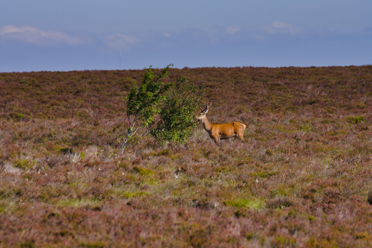 Fwd: Global Moorning!			
					</div><!-- .entry-content -->
		
		<footer>
		
		
		
					
					</footer><!-- .entry-meta -->
	</article><!-- #post -->
				
											
				
		
<hr class=