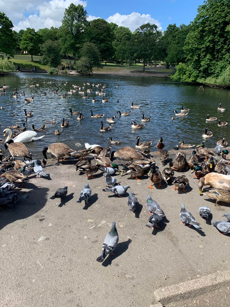 Fwd: Hillsborough park			
					</div><!-- .entry-content -->
		
		<footer>
		
		
		
					
					</footer><!-- .entry-meta -->
	</article><!-- #post -->
				
											
				
		
<hr class=