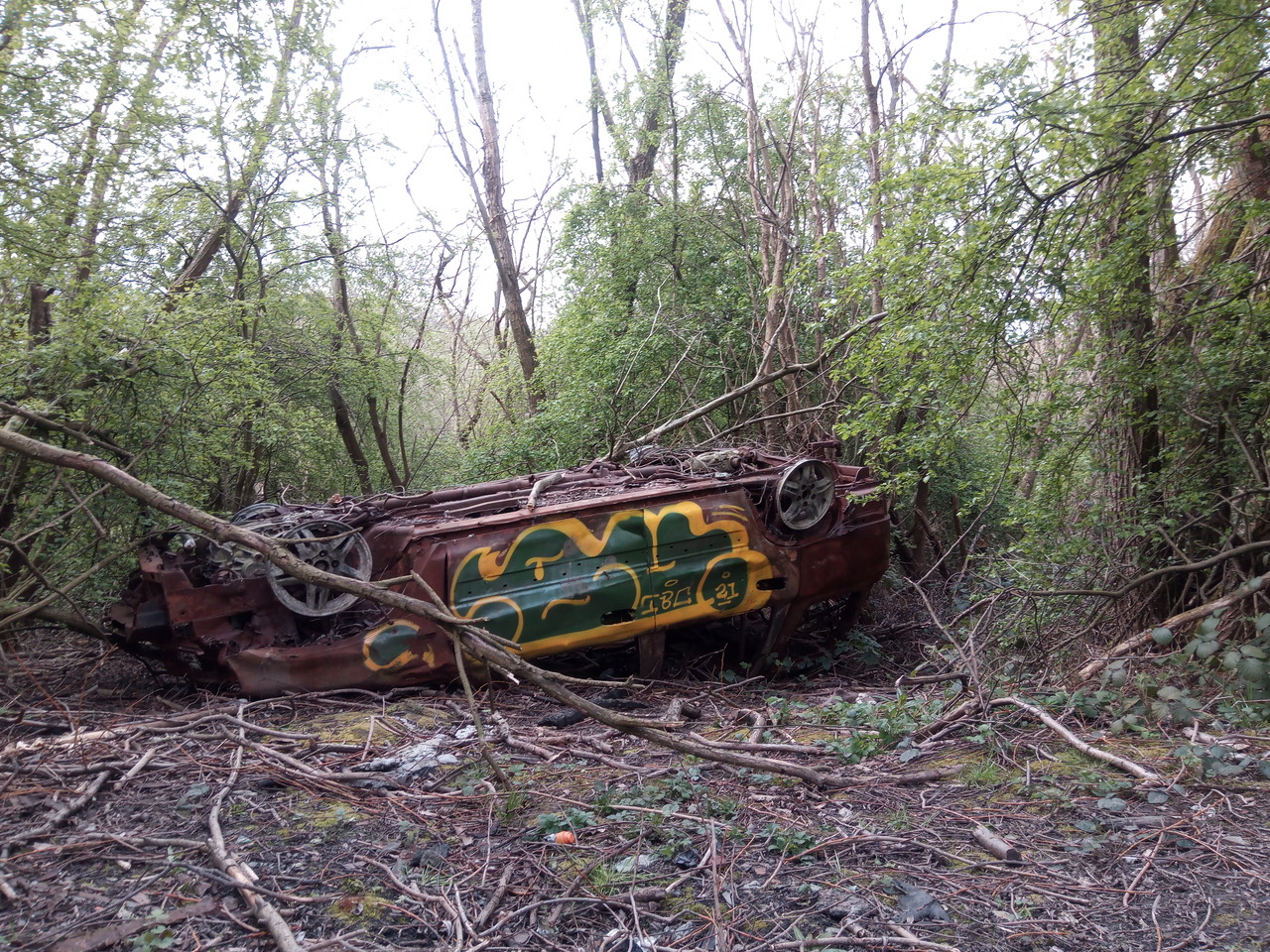 Fwd: Sheffield by Rich Randall			
					</div><!-- .entry-content -->
		
		<footer>
		
		
		
					
						
			

<div id=