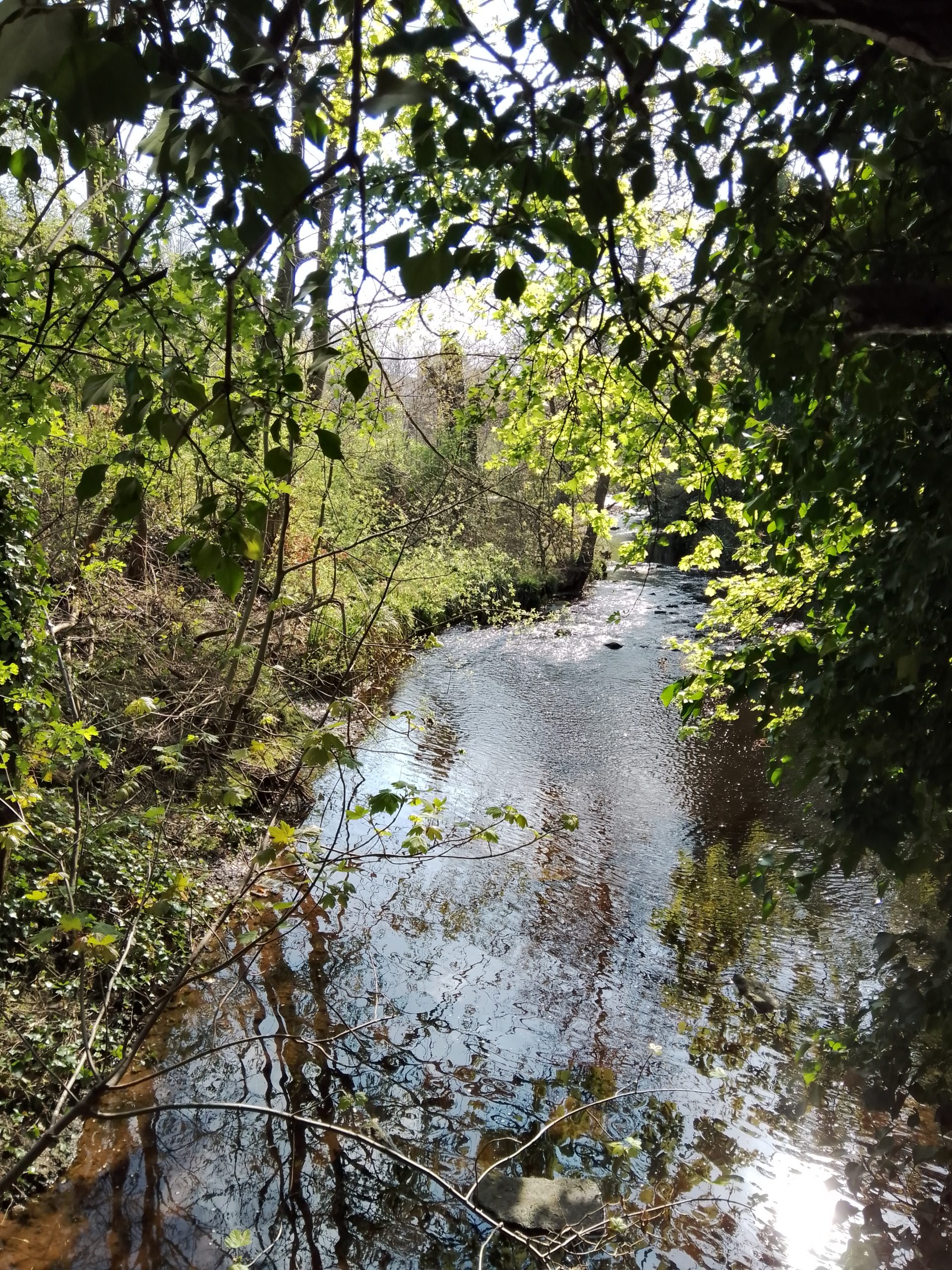 Fwd: Rivelin			
					</div><!-- .entry-content -->
		
		<footer>
		
		
		
					
					</footer><!-- .entry-meta -->
	</article><!-- #post -->
				
											
				
		
<hr class=