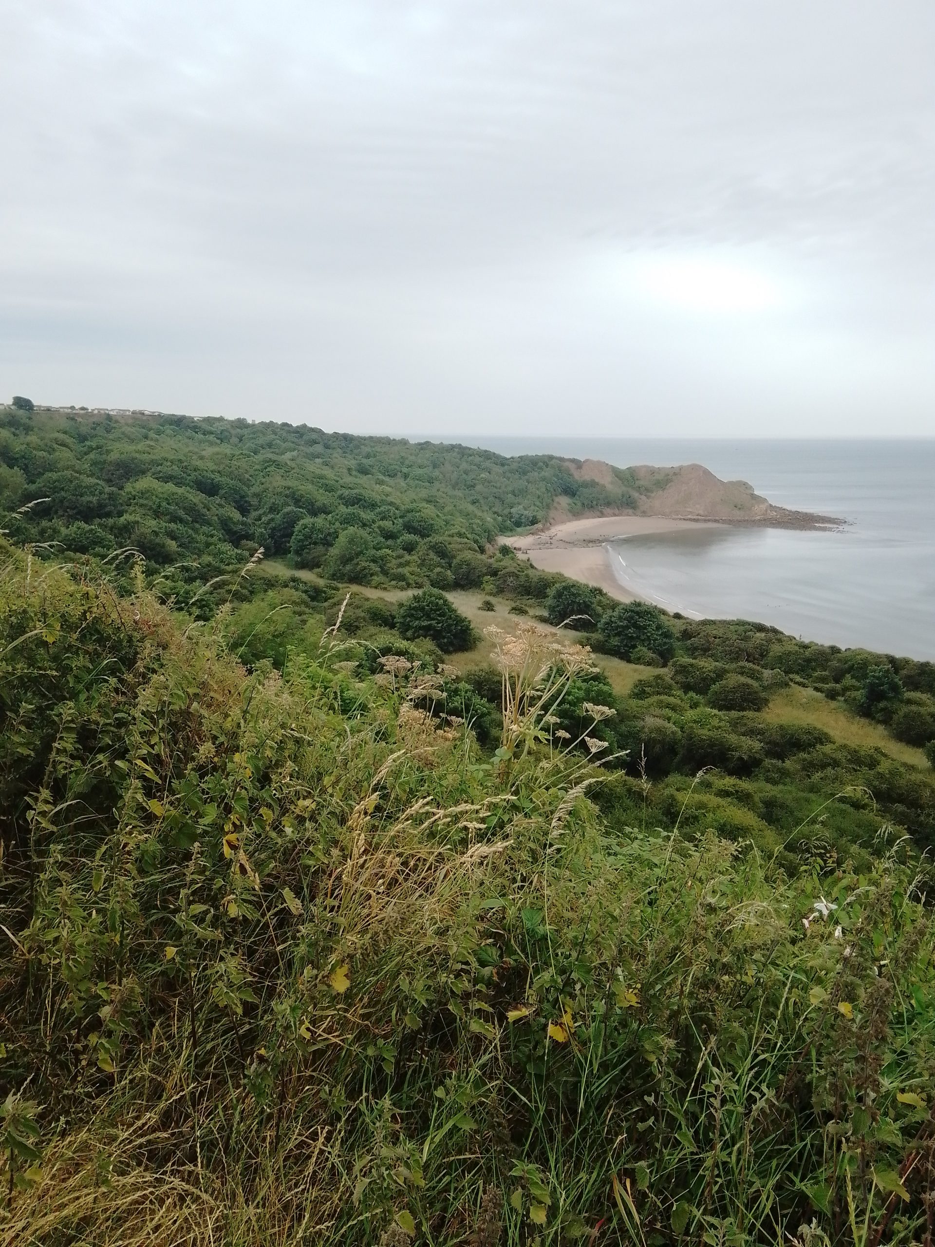 Fwd: Cayton bay			
					</div><!-- .entry-content -->
		
		<footer>
		
		
		
					
					</footer><!-- .entry-meta -->
	</article><!-- #post -->
				
											
				
		
<hr class=