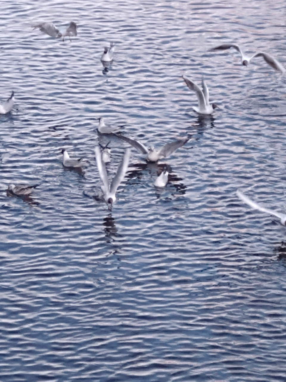 Fwd:			
					</div><!-- .entry-content -->
		
		<footer>
		
		
		
					
					</footer><!-- .entry-meta -->
	</article><!-- #post -->
				
											
				
		
<hr class=