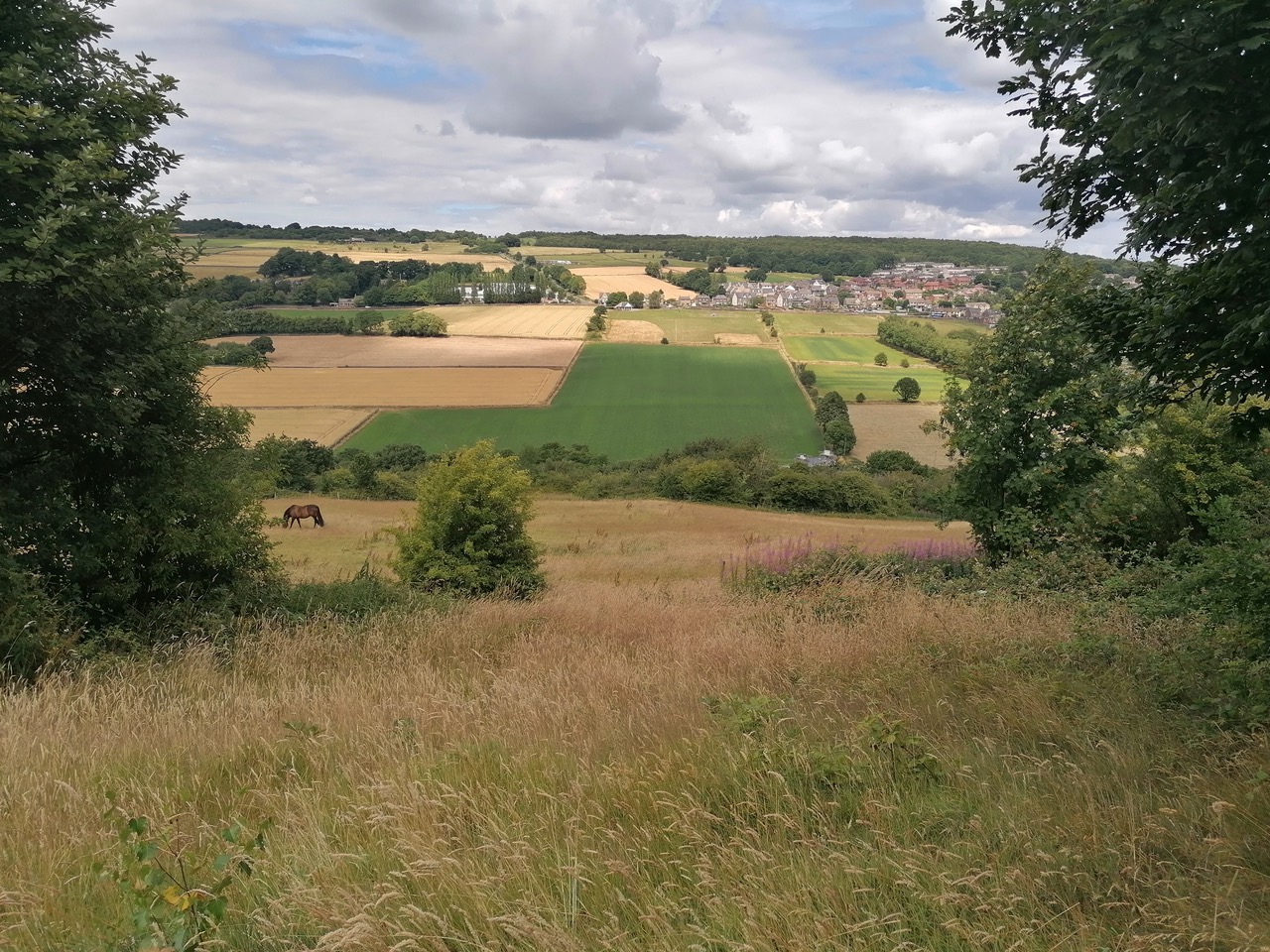 Fwd: Loxley Viewpoint by Vee Jay			
					</div><!-- .entry-content -->
		
		<footer>
		
		
		
					
					</footer><!-- .entry-meta -->
	</article><!-- #post -->
				
											
				
		
<hr class=