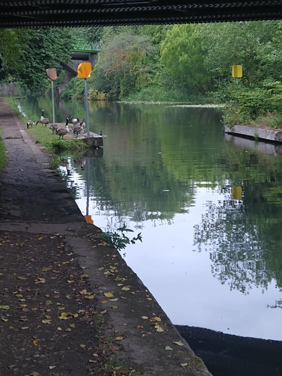 Fwd:			
					</div><!-- .entry-content -->
		
		<footer>
		
		
		
					
					</footer><!-- .entry-meta -->
	</article><!-- #post -->
				
											
				
		
<hr class=