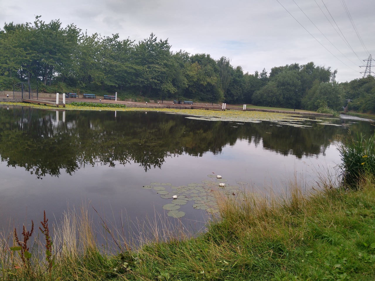 Fwd:			
					</div><!-- .entry-content -->
		
		<footer>
		
		
		
					
					</footer><!-- .entry-meta -->
	</article><!-- #post -->
				
											
				
		
<hr class=