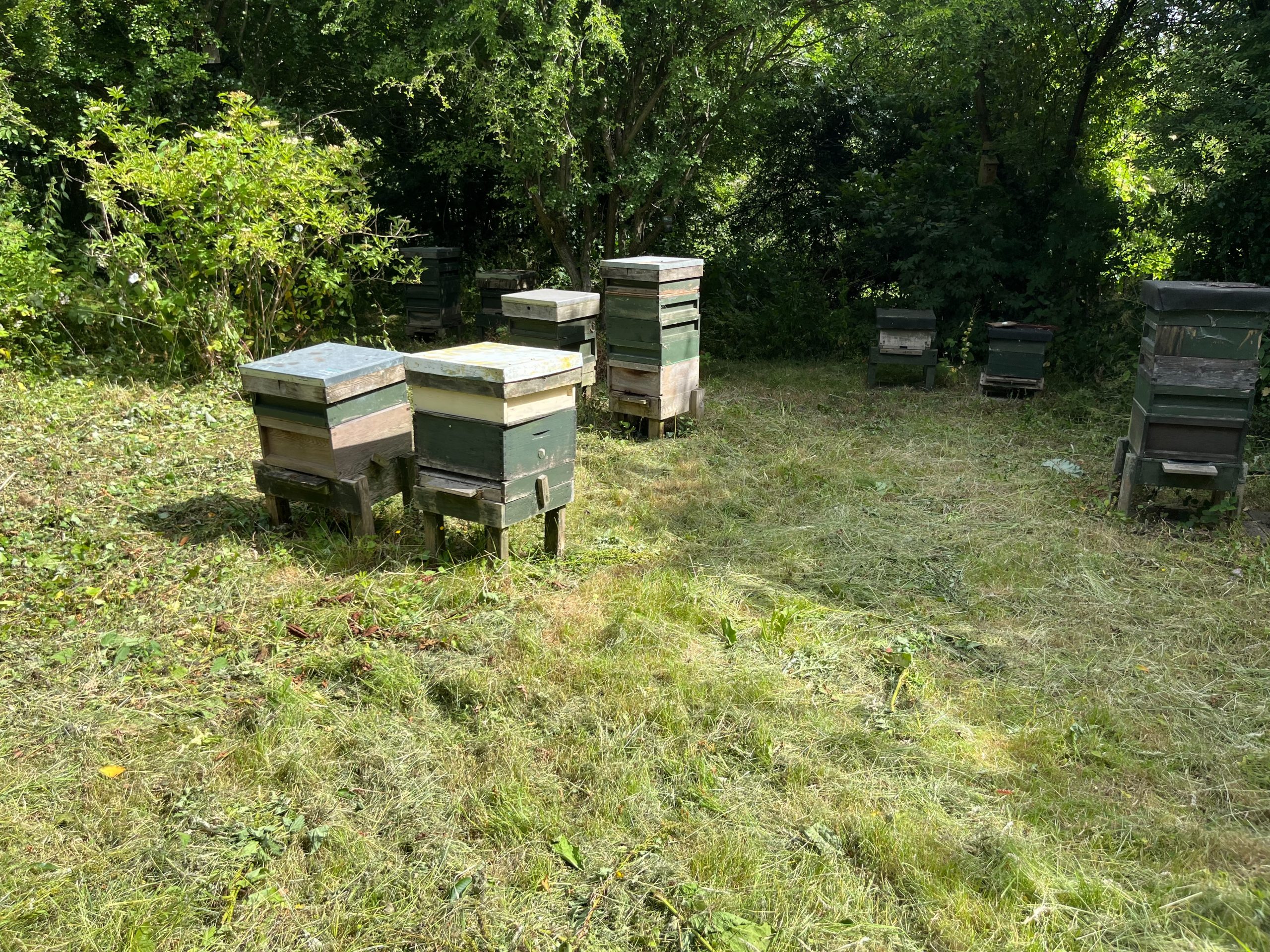 Fwd: [SPAM] From Reverend Malcolm Pywell			
					</div><!-- .entry-content -->
		
		<footer>
		
		
		
					
					</footer><!-- .entry-meta -->
	</article><!-- #post -->
				
											
				
		
<hr class=