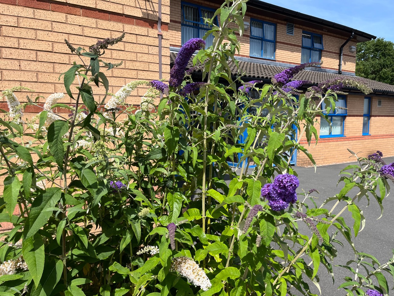 Fwd: Photo by Reverend Malcolm Pywell			
					</div><!-- .entry-content -->
		
		<footer>
		
		
		
					
					</footer><!-- .entry-meta -->
	</article><!-- #post -->
				
											
				
		
<hr class=