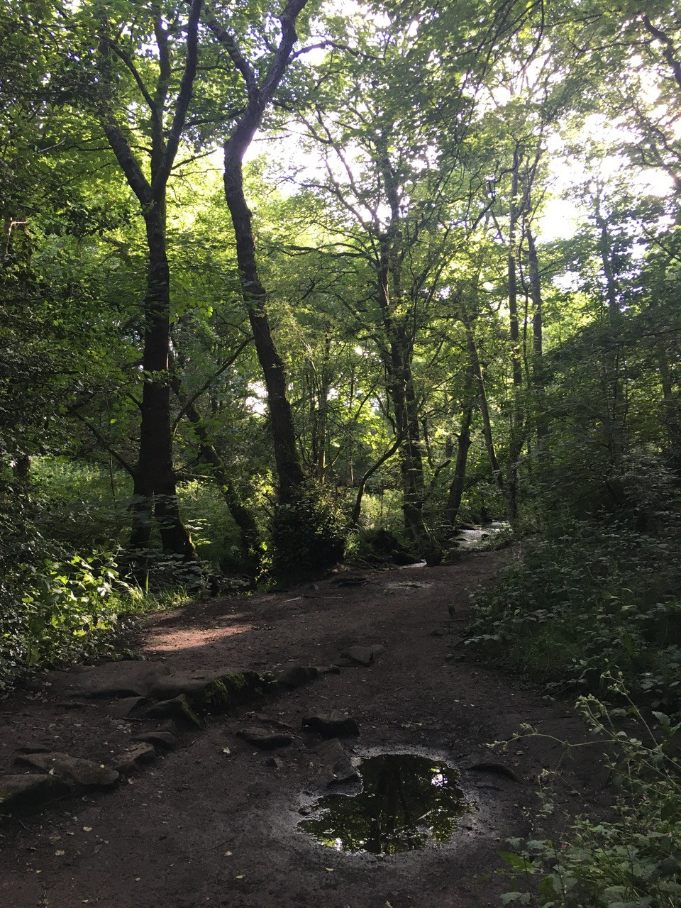 Fwd: Photo			
					</div><!-- .entry-content -->
		
		<footer>
		
		
		
					
					</footer><!-- .entry-meta -->
	</article><!-- #post -->
				
											
				
		
<hr class=