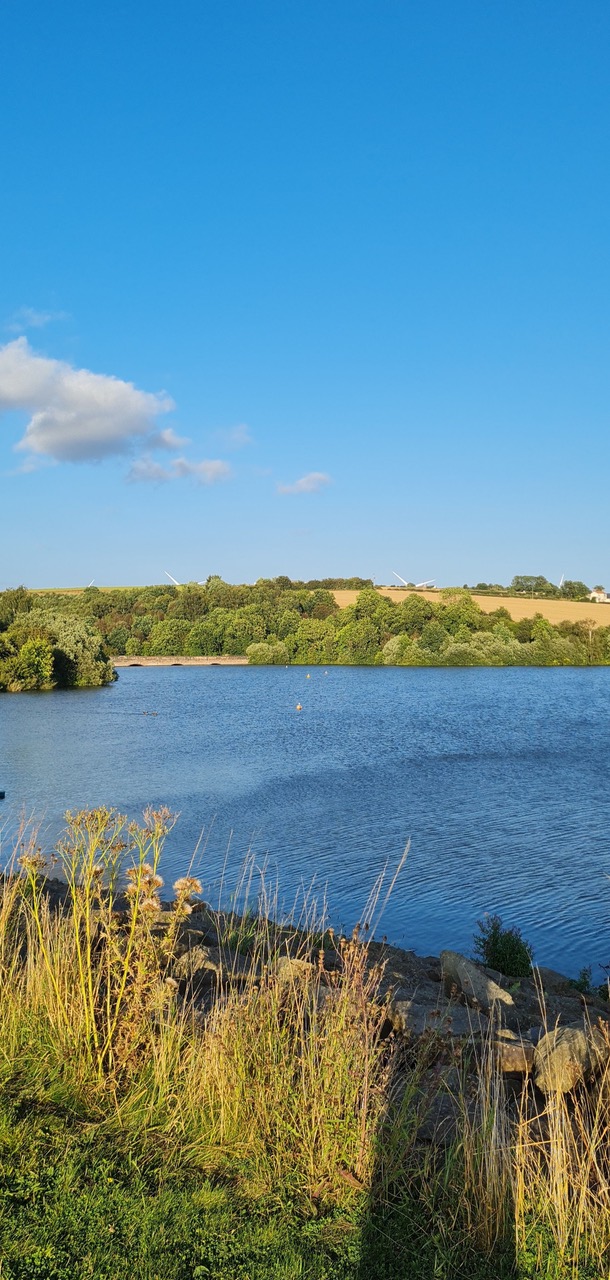 Fwd: ulley reservoir			
					</div><!-- .entry-content -->
		
		<footer>
		
		
		
					
					</footer><!-- .entry-meta -->
	</article><!-- #post -->
				
											
				
		
<hr class=