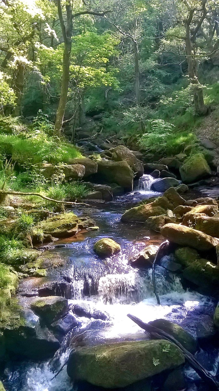 Fwd: By Mark Winter- Padley Gorge			
					</div><!-- .entry-content -->
		
		<footer>
		
		
		
					
					</footer><!-- .entry-meta -->
	</article><!-- #post -->
				
											
				
		
<hr class=