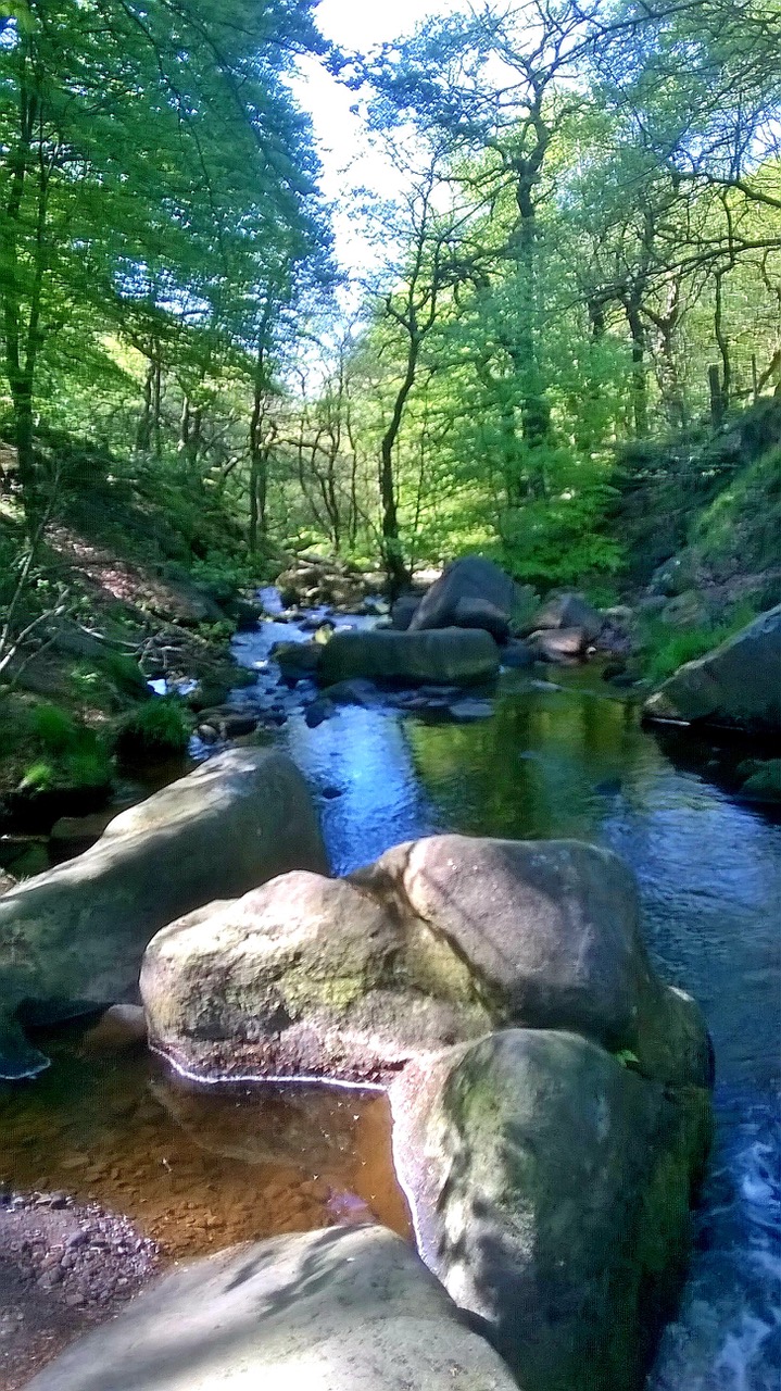 Fwd: By Mark Winter- Padley Gorge			
					</div><!-- .entry-content -->
		
		<footer>
		
		
		
					
					</footer><!-- .entry-meta -->
	</article><!-- #post -->
				
											
				
		
<hr class=