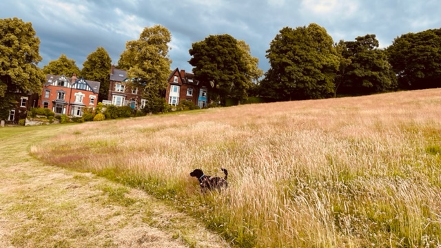 Fwd: Pics for TX			
					</div><!-- .entry-content -->
		
		<footer>
		
		
		
					
					</footer><!-- .entry-meta -->
	</article><!-- #post -->
				
											
				
		
<hr class=