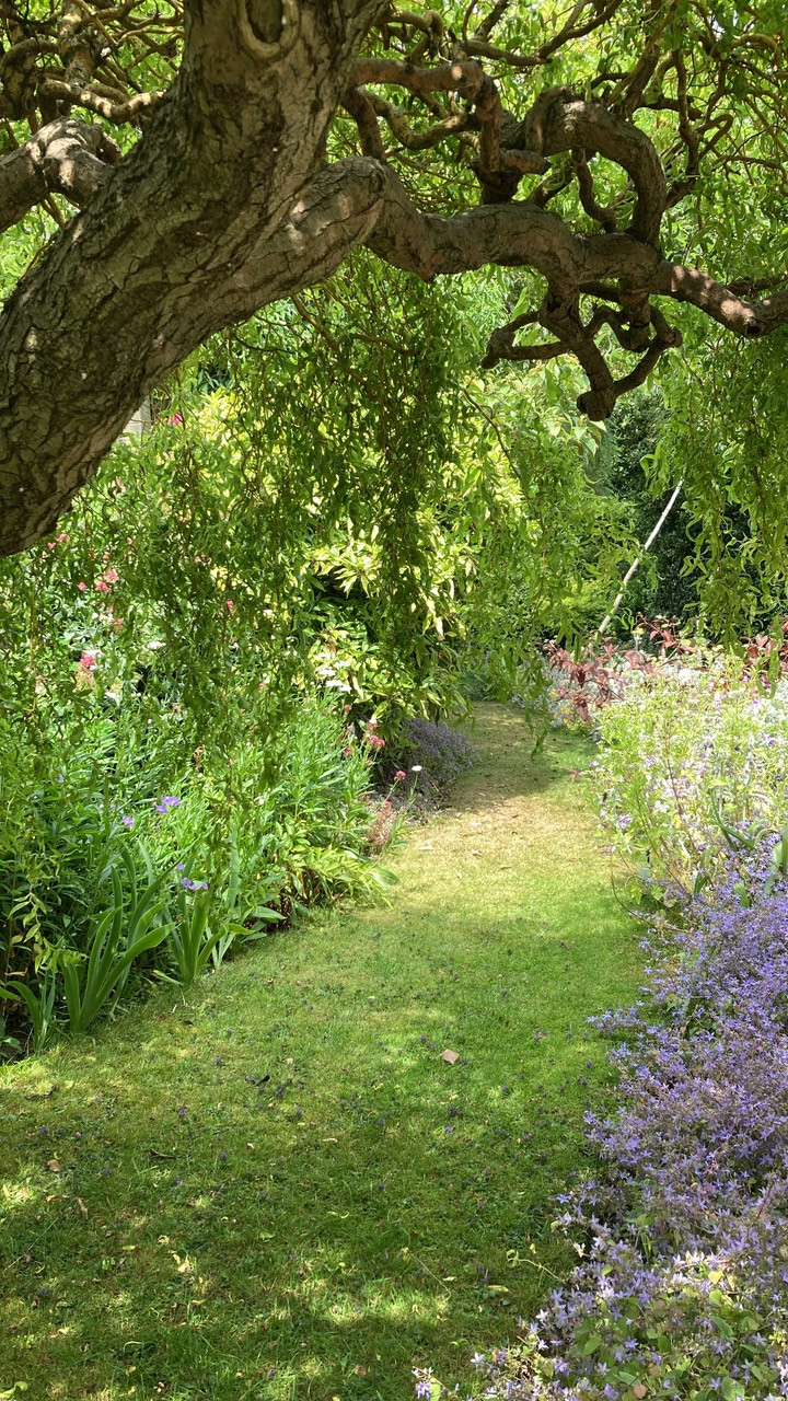 Fwd: Ben, Beechwood Lodge, Rotherham			
					</div><!-- .entry-content -->
		
		<footer>
		
		
		
					
					</footer><!-- .entry-meta -->
	</article><!-- #post -->
				
											
				
		
<hr class=