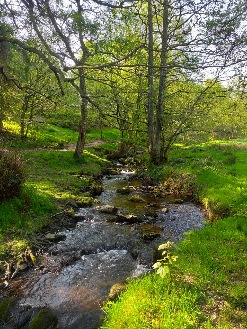 Fwd: By Mark Winter – Wyming brook			
					</div><!-- .entry-content -->
		
		<footer>
		
		
		
					
					</footer><!-- .entry-meta -->
	</article><!-- #post -->
				
											
				
		
<hr class=