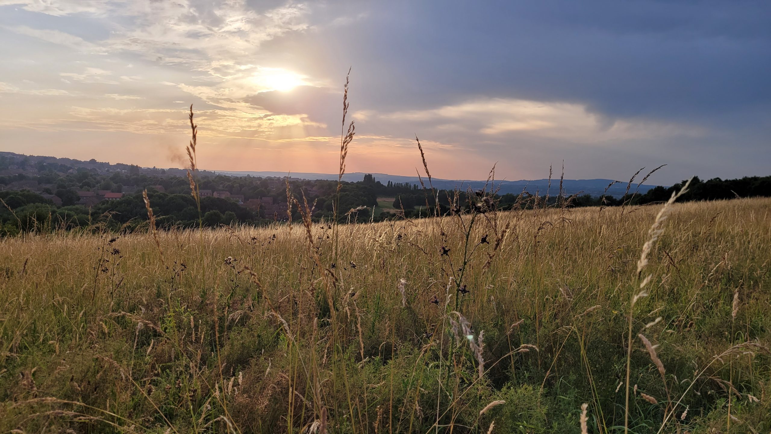 Fwd: Greg Howarth Richmond Heights			
					</div><!-- .entry-content -->
		
		<footer>
		
		
		
					
					</footer><!-- .entry-meta -->
	</article><!-- #post -->
				
											
				
		
<hr class=