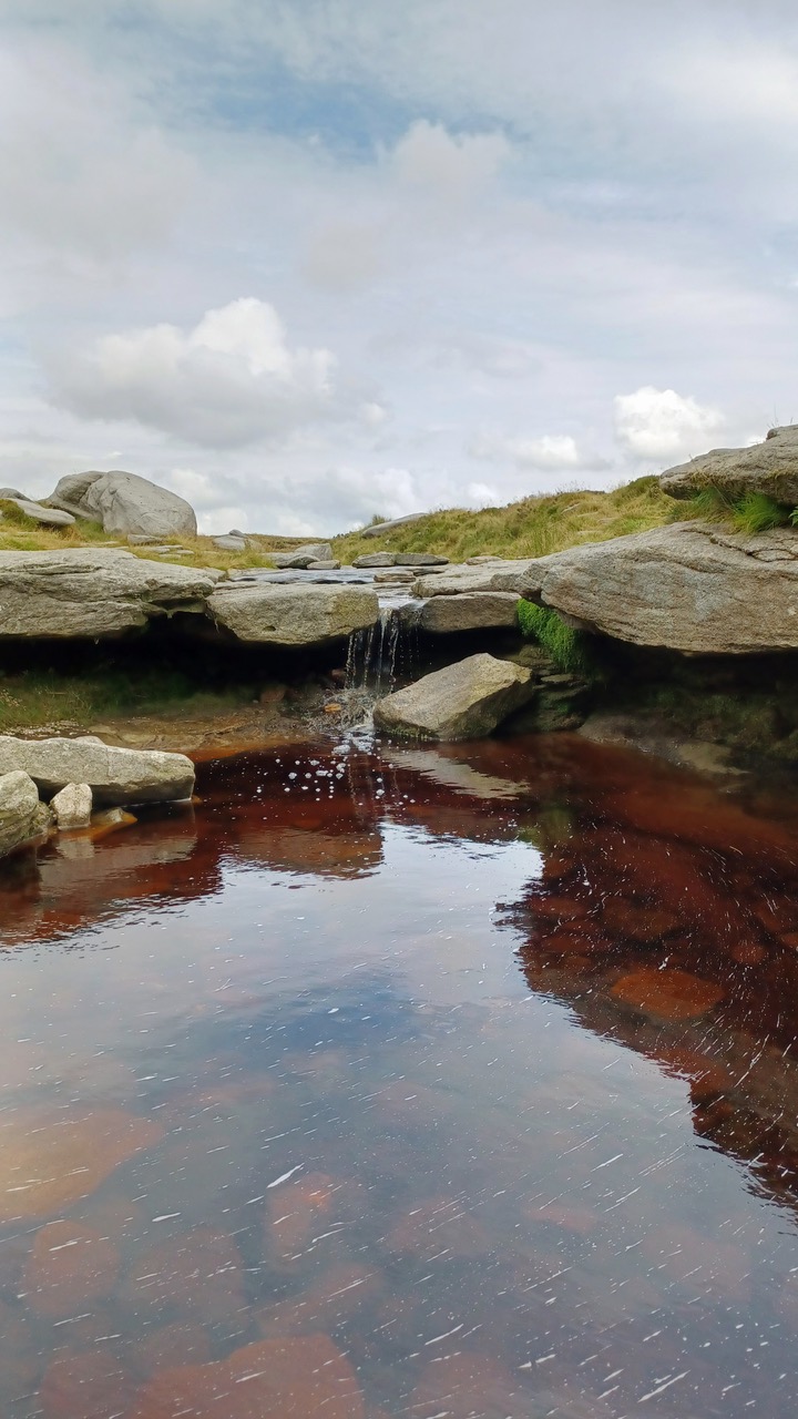 Fwd: By Mark Winter- Kinder downfall			
					</div><!-- .entry-content -->
		
		<footer>
		
		
		
					
					</footer><!-- .entry-meta -->
	</article><!-- #post -->
				
											
				
		
<hr class=