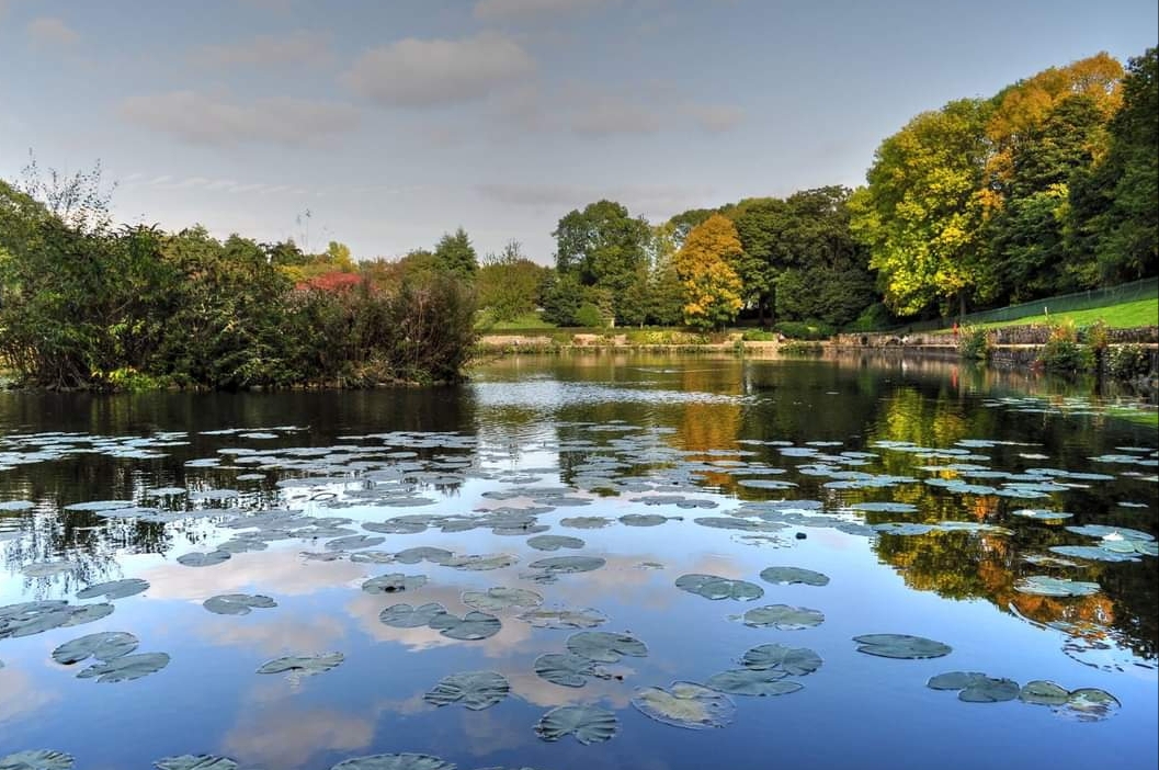 Fwd: Brian Hodkinson Photos			
					</div><!-- .entry-content -->
		
		<footer>
		
		
		
					
					</footer><!-- .entry-meta -->
	</article><!-- #post -->
				
											
				
		
<hr class=