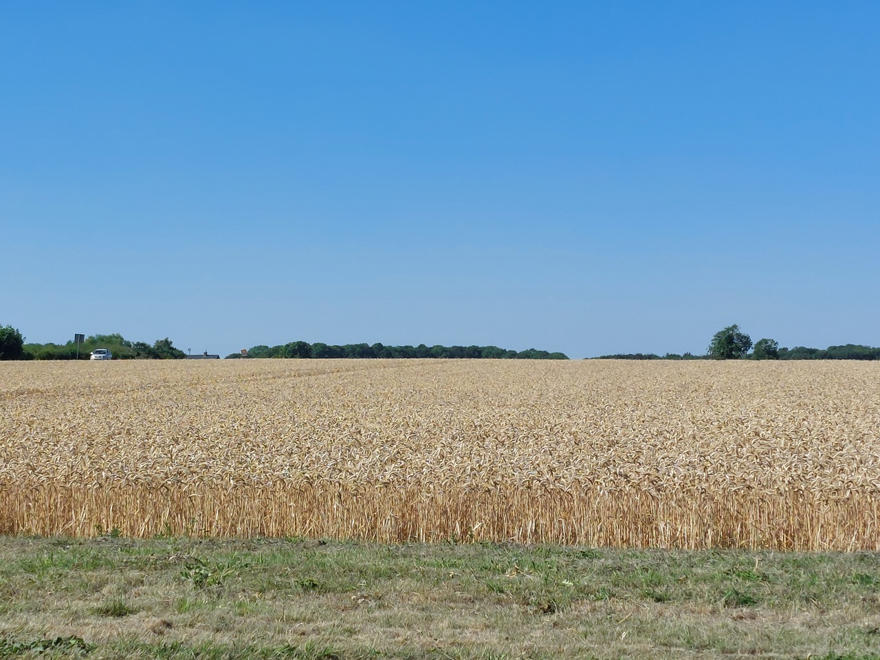 Fwd: Worksop field by Gullface London			
					</div><!-- .entry-content -->
		
		<footer>
		
		
		
					
					</footer><!-- .entry-meta -->
	</article><!-- #post -->
				
											
				
		
<hr class=