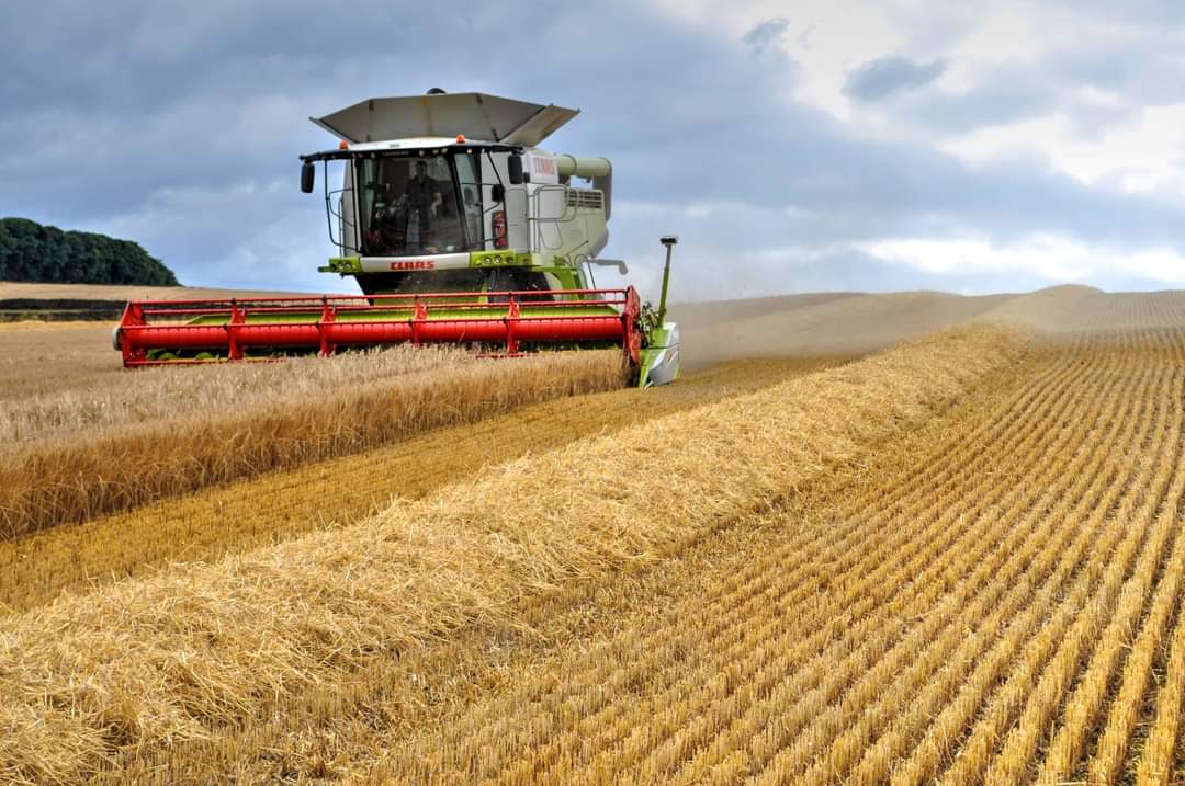 Fwd: Brian Hodkinson photos			
					</div><!-- .entry-content -->
		
		<footer>
		
		
		
					
					</footer><!-- .entry-meta -->
	</article><!-- #post -->
				
											
				
		
<hr class=