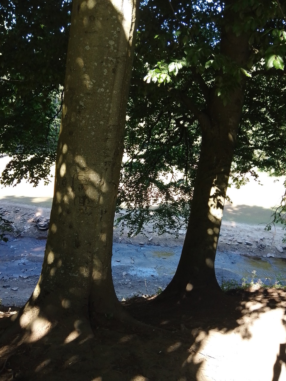 Fwd: Bamford			
					</div><!-- .entry-content -->
		
		<footer>
		
		
		
					
					</footer><!-- .entry-meta -->
	</article><!-- #post -->
				
											
				
		
<hr class=